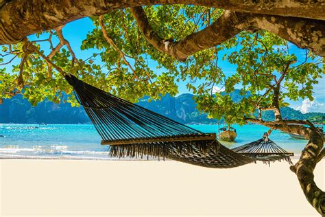 Jamaica is the caribbean country that comes with its own soundtrack. Vakantie Jamaica - Exotische en luxe zonvakantie | TUI