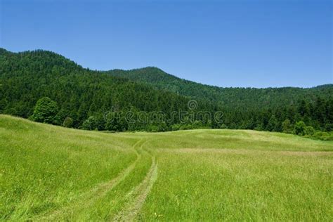 Mountain Meadow Scene During Summer Day Stock Image Image Of Mountain