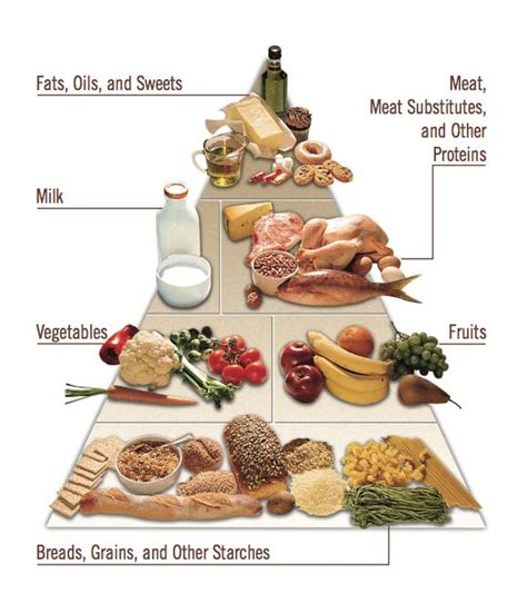 United States Food Pyramid