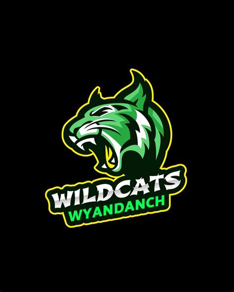Wyandanch Wildcatz Youth Organization Inc Usa Football League Finder