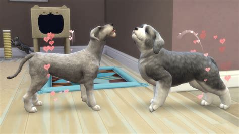The Sims 4 Cats Dogs Complete List Of Pet Breeds 170
