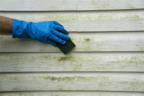 How To Clean Vinyl Siding Universal Windows Direct
