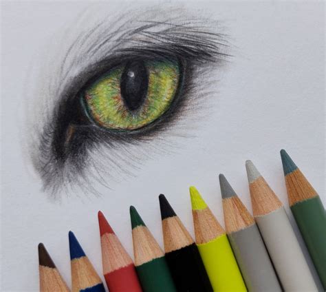How To Draw Cat Eyes With Colored Pencils At How To Draw