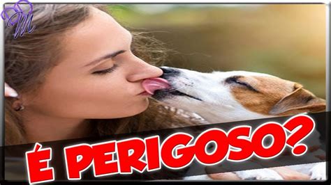 Lambidas de cães podem causar doenças YouTube