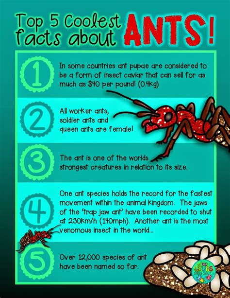 Green Grubs Garden Club Top 5 Coolest Facts About Ants Ants Fun