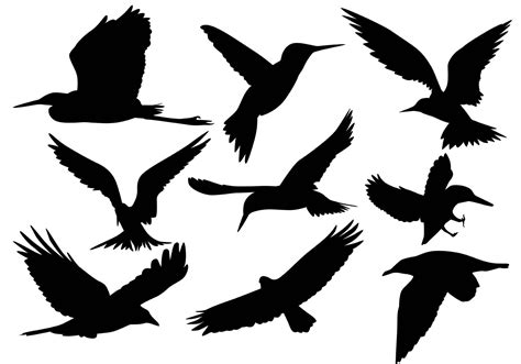 Flying Bird Silhouette Vectors Download Free Vector Art Stock