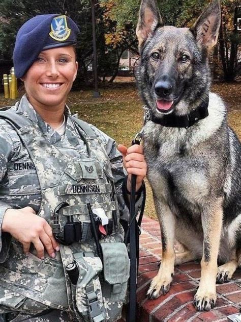 Pin By S Mah On Animals K9 Heroes Military Working Dogs Dog