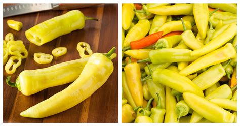 Hungarian Wax Pepper Vs Banana Pepper How Are They Different