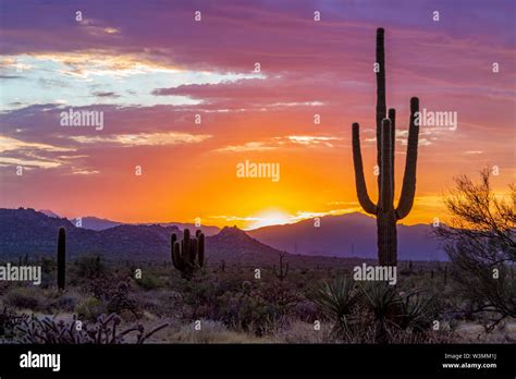 Brilliant Desert Sunrise In Arizona With Cactus Stock Photo Alamy