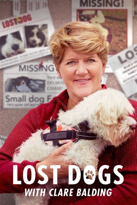Lost Dogs With Clare Balding Tv Series 2023 — The Movie Database Tmdb