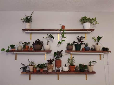 Built A New Shelf For All My Plants Grow Lights Are Mounted Under The