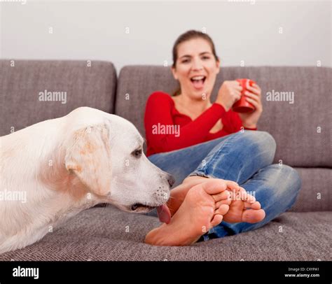 Woman Drinking Coffee On The Sofa With Her Dog Licking Her Toes Stock