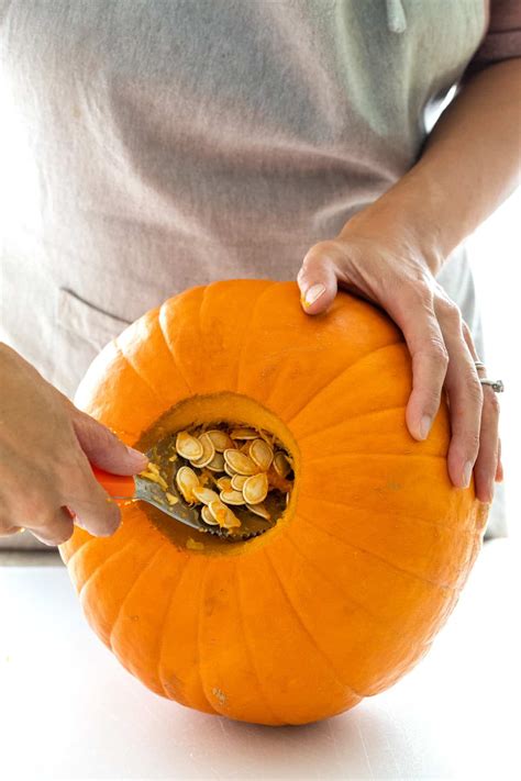 How To Carve A Pumpkin Jessica Gavin