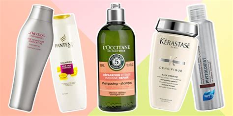 Mampu milik bagi hampir semua golongan. 7 Rekomendasi Shampoo Untuk Rambut Rontok terbaik - ReviewAja
