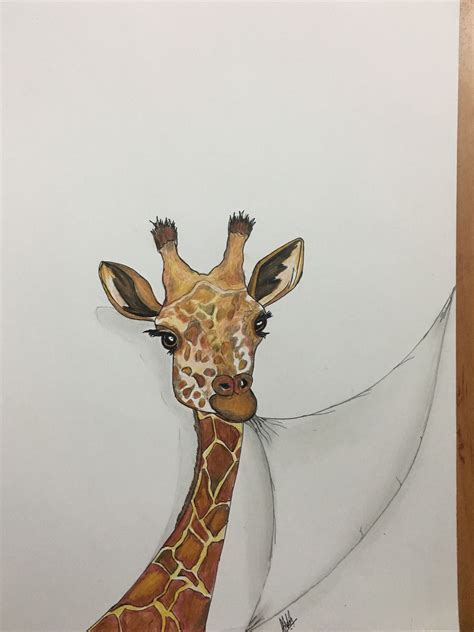 Baby Giraffe🦒 Baby Giraffe Giraffe Drawings