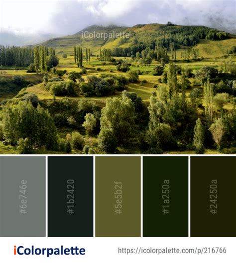 Color Palette Ideas From Nature Vegetation Ecosystem Image Colours