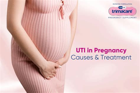 Uti Symptoms Complications And Treatment In Pregnancy Plusplus Lifesciences