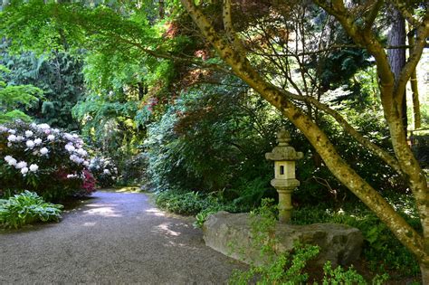 Bellevue botanical gardens covers 53 acres surprisingly close to downtown. Linda Letters:: Sunday Morning Stroll - Bellevue Botanical ...