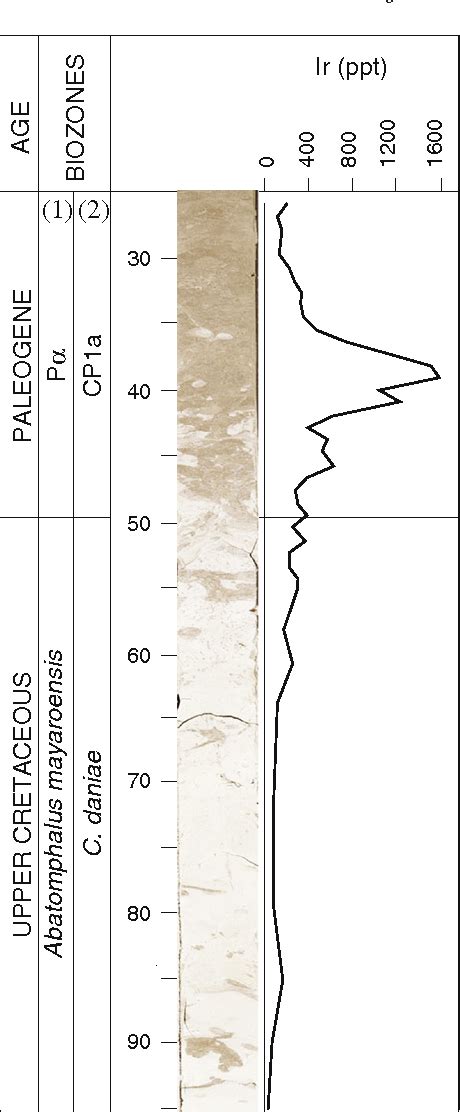 Figure 1 From Benthic Foraminifera Across The Cretaceouspaleogene