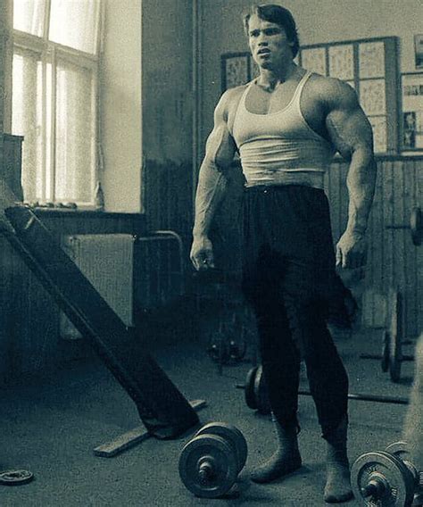 How Big Were Arnold Schwarzenegger S Biceps In His Prime