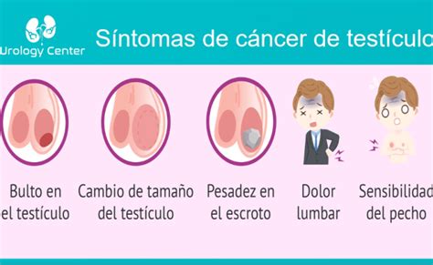 Cancer Testicular Sintomas Y Autoexploracion Otosection