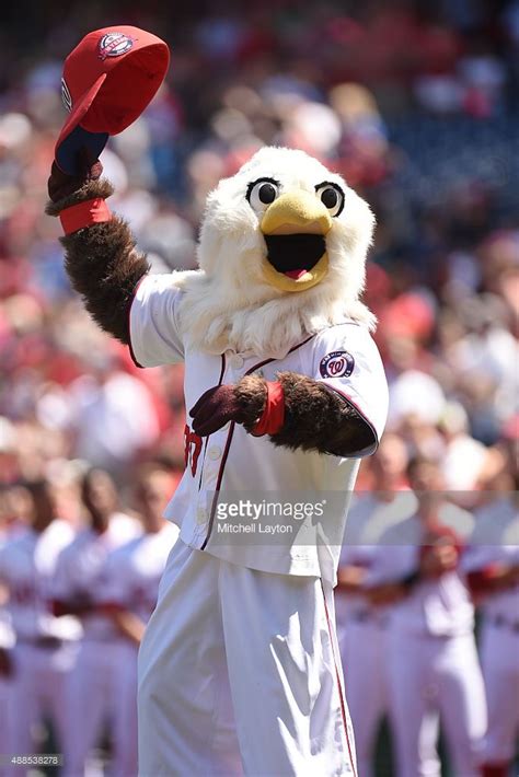 The Washington Nationals Mascot Screech On The Field Before A