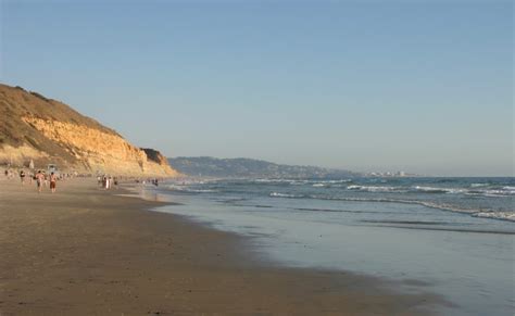 The plant life and ecosystem are incredibly unique and diverse. Torrey Pines State Beach - South Beach, La Jolla, CA ...