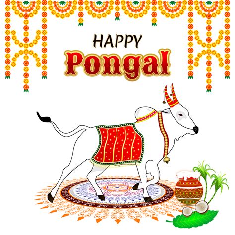 Pongal Festival White Transparent Pongal Festival Illustration Art