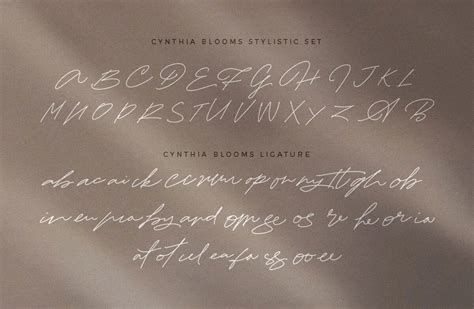 Cynthia Blooms Calligraphy Font Free Download