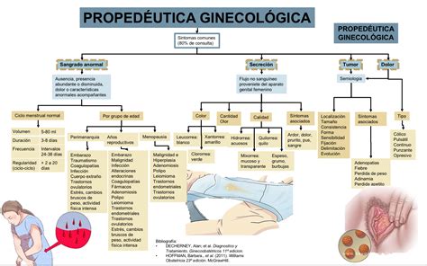 Blog De Evidencias De La Materia De GinecologÍa Y Obstetricia