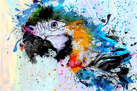 Abstract Multi Color Parrot Sparrow Bird Painting On Canvas Painting By