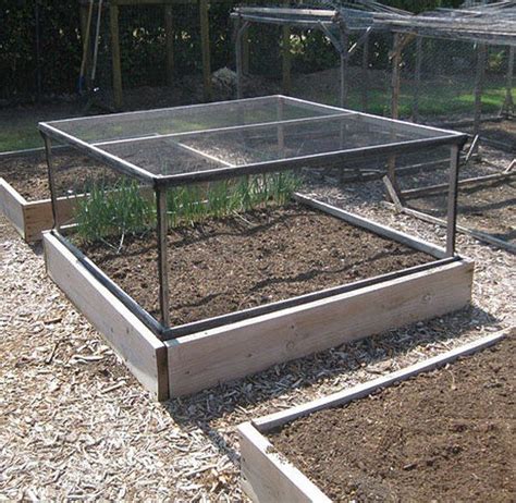 How to use cold frame and a learning how to grow a vegetable garden takes time and perserverance but it is worth the effort. Grow and protect your produce with a removable raised garden bed fence | DIY projects for e ...