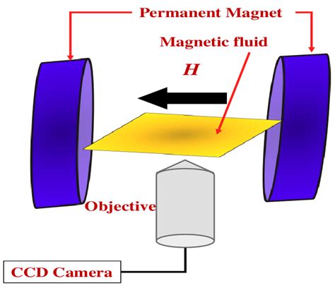The Schematic Diagram Of The Magnetic Field Induced Microscopy At