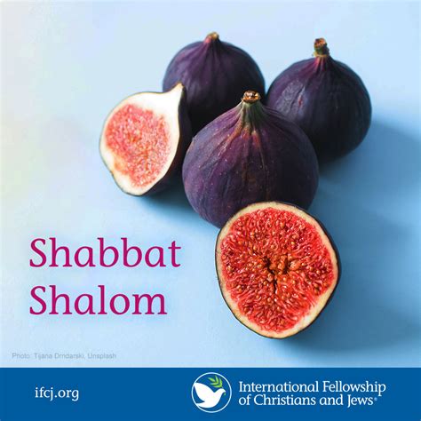 The Fellowship On Twitter Shabbat Shalom From Israel It’s Fig Season—do You Like Figs