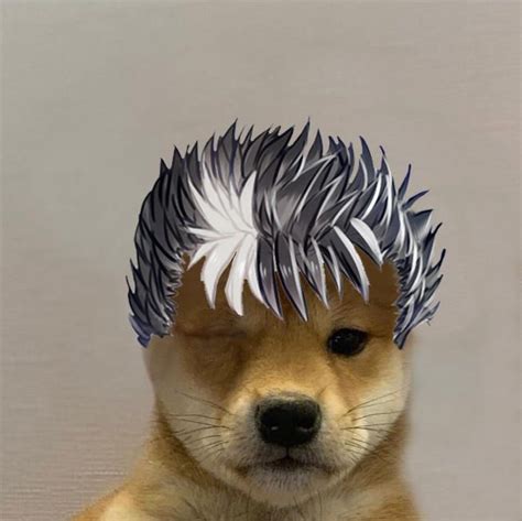 Dog With Guts Hair Dogwifhat Dog Icon Berserk Anime