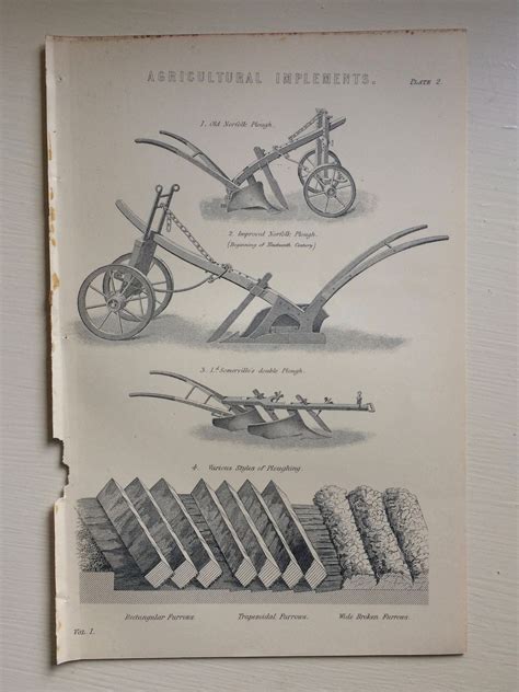 Agricultural Implements Original Antique Encyclopaedia Illustration Norfolk Plough