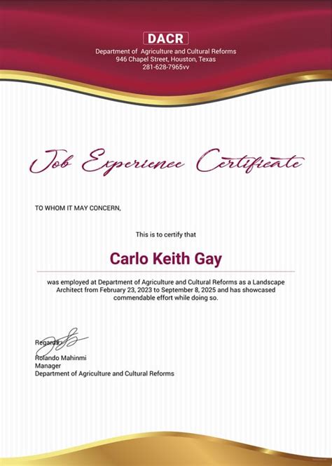 Experience Certificate Template 17 Free Pdf Download Document Free