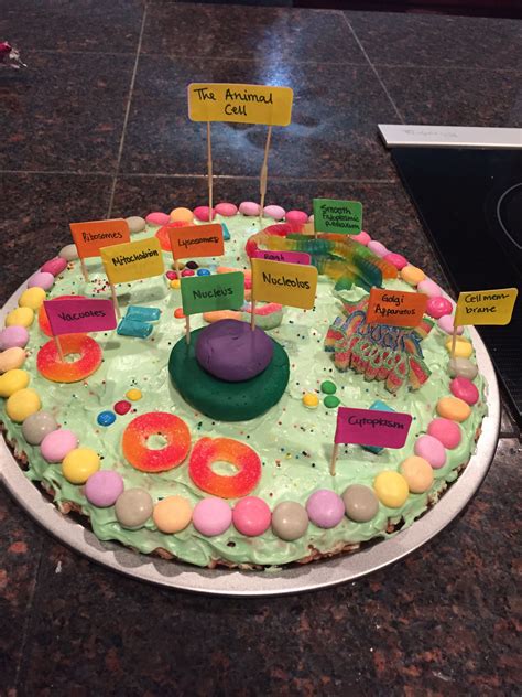 Animal Cell Cake Project Labeled