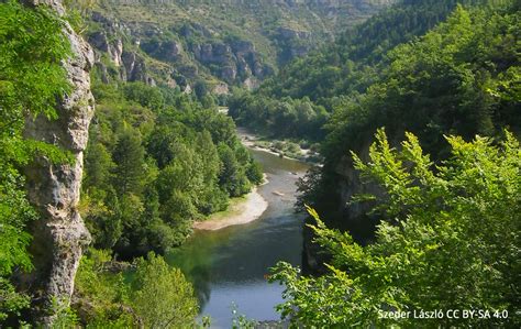 Gorges Du Tarn Sites Naturels à Rivière Sur Tarn Guide Tarn Aveyron