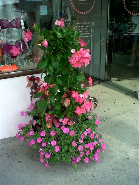 1,575 likes · 8 talking about this · 1,047 were here. SUN container, Greenwich CT | Container design, Flower ...