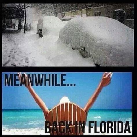 The 10 Best Florida Winter Memes I Love South Florida