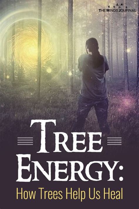 tree energy how trees help us heal tree energy how trees help us