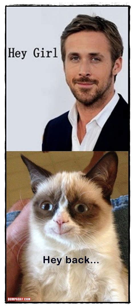 Grumpy Cat Love Is In The Air Haha Funny Funny Pictures Hey Girl Memes