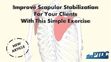 Improve Scapular Stabilization For Your Clients With This Simple