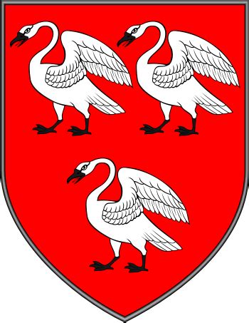 Эннискорти, уэксфорд, уэксфорд, ирландия john a sinnott & co solicitors часы работы john a sinnott & co. SINNOTT tribes around the world | Ireland