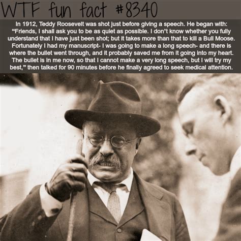 Teddy Roosevelt Wtf Fun Facts Fun Facts Wtf Fun Facts Funny Facts