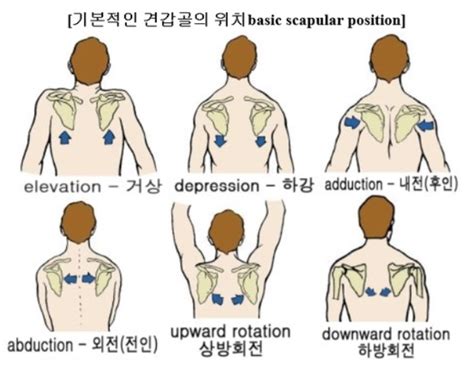We did not find results for: 벤치프레스 자세 고찰 (후인거상, 후인하강)