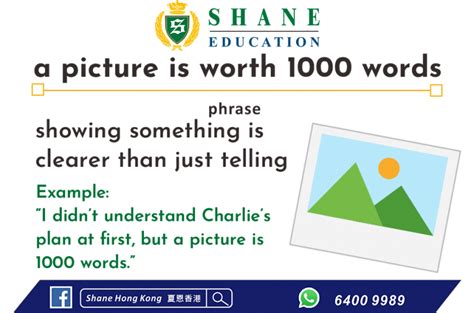 A Picture Is Worth 1000 Words Shane Hk
