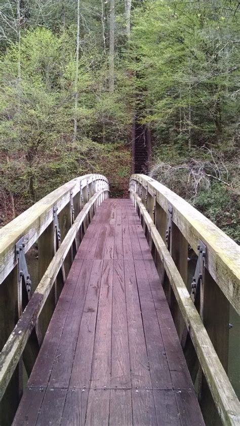 The Hiking Trail Hiding In South Carolina That Will Transport You To