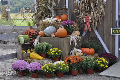 Fall Harvest Festival at Port Farms, Waterford, PA, Erie County | Harvest festival, Fall harvest ...
